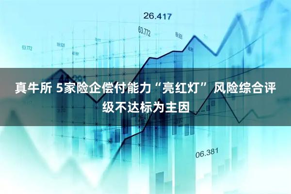 真牛所 5家险企偿付能力“亮红灯” 风险综合评级不达标为主因